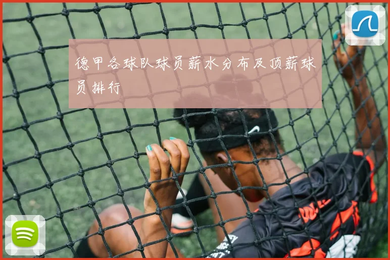 德甲各球队球员薪水分布及顶薪球员排行
