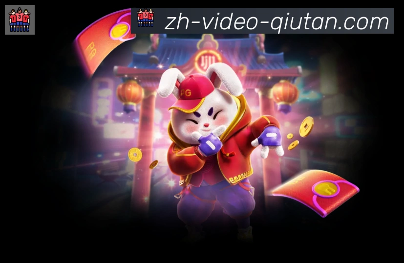 奖项证书